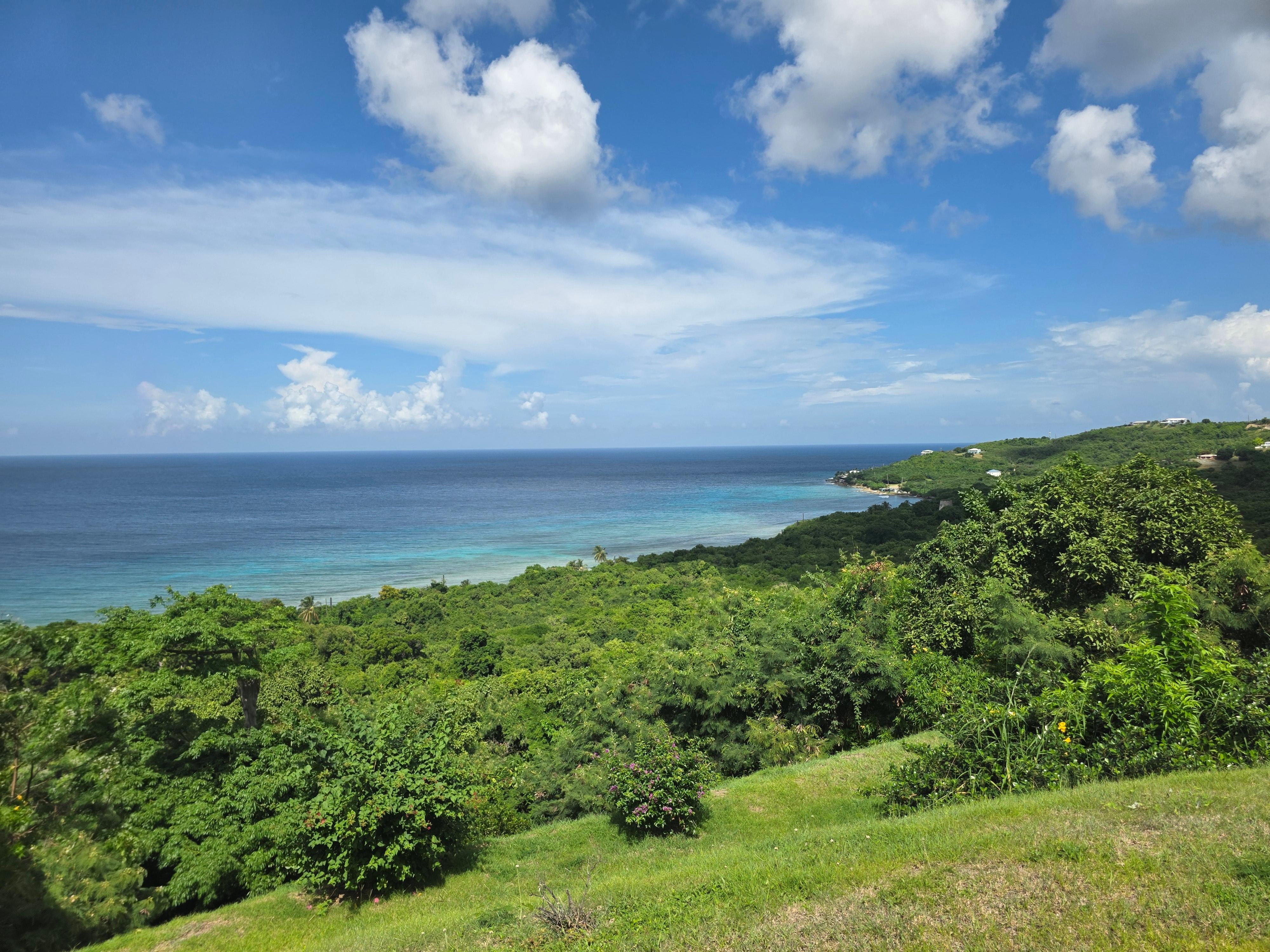 The waters of Cane Bay