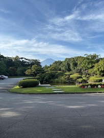 View from lobby