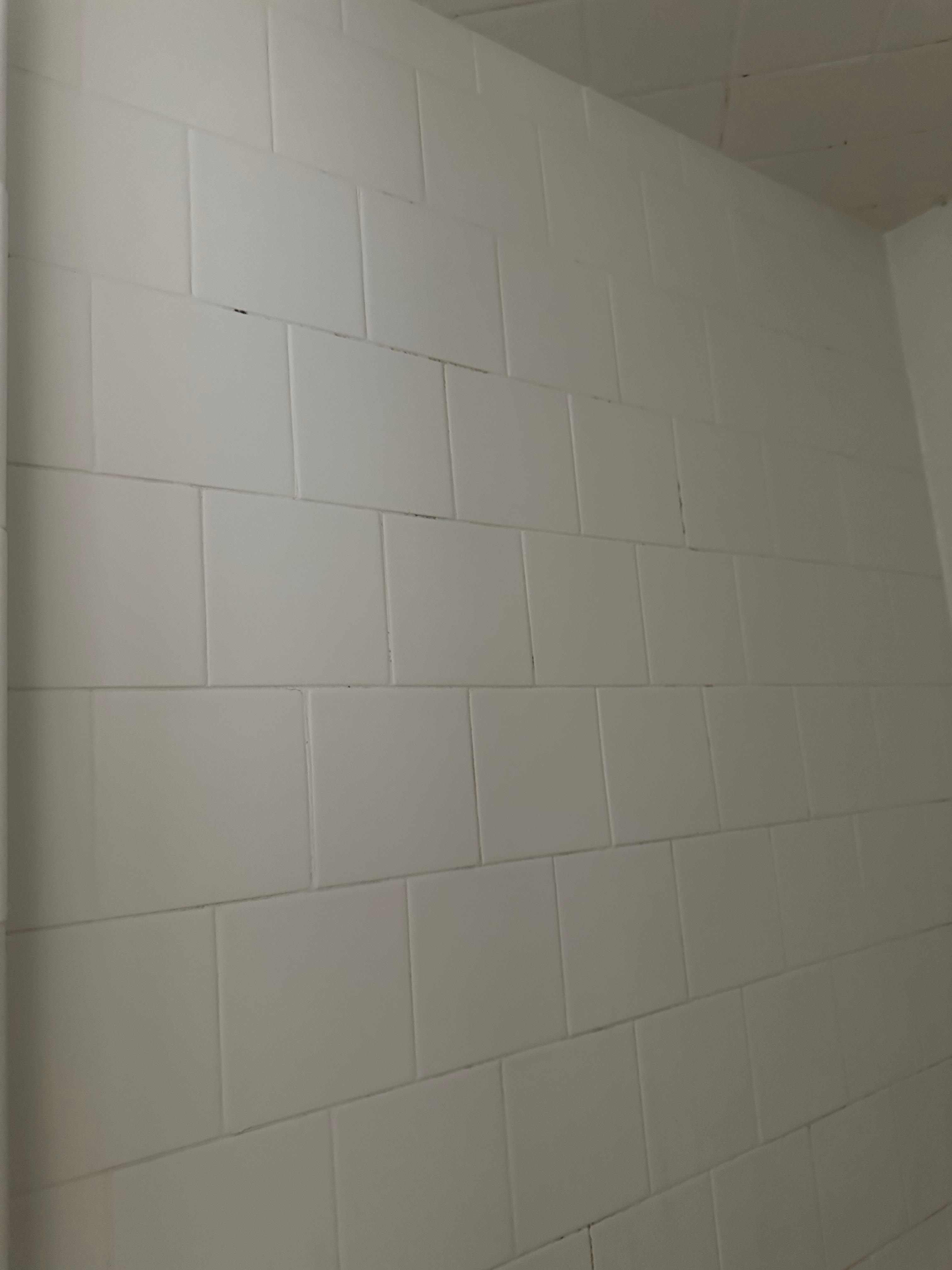 Mold shower wall