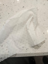 What we started to wipe up all the specks are ants