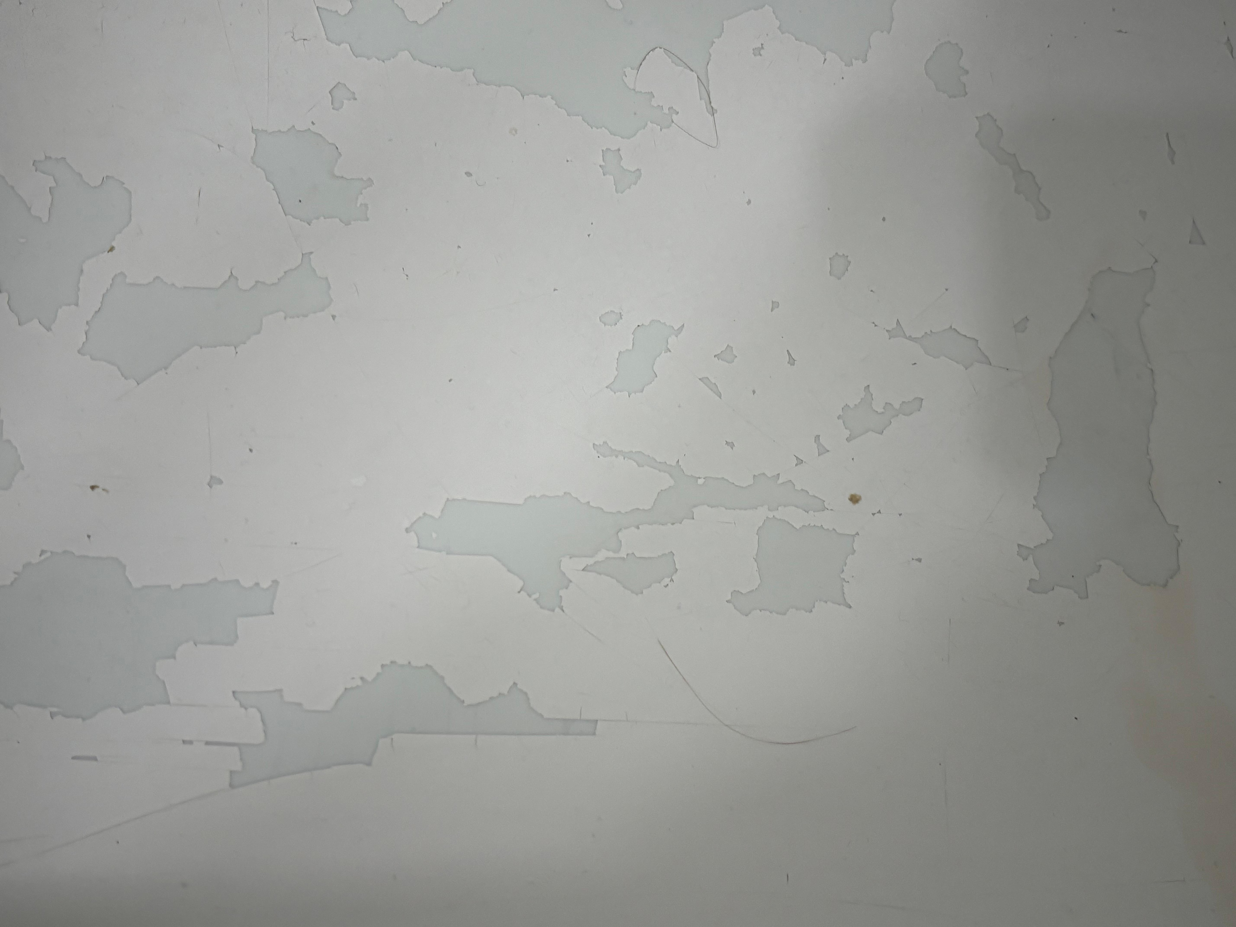 Peeling tub. With hair in it. 