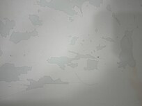 Peeling tub. With hair in it.