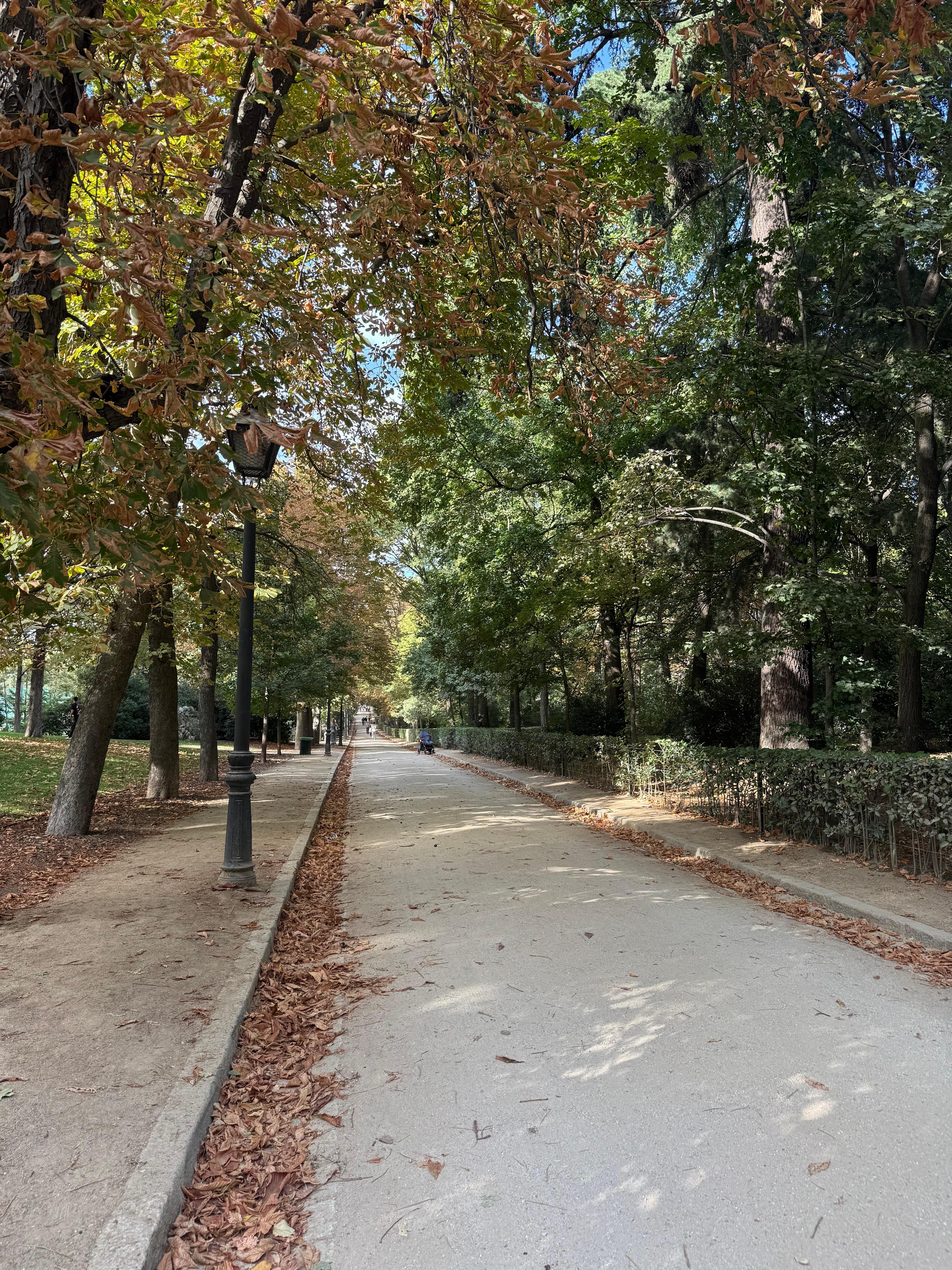 Experience. Flora & fauna, peace & quiet at Retiro Park