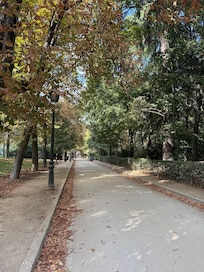 Experience. Flora & fauna, peace & quiet at Retiro Park