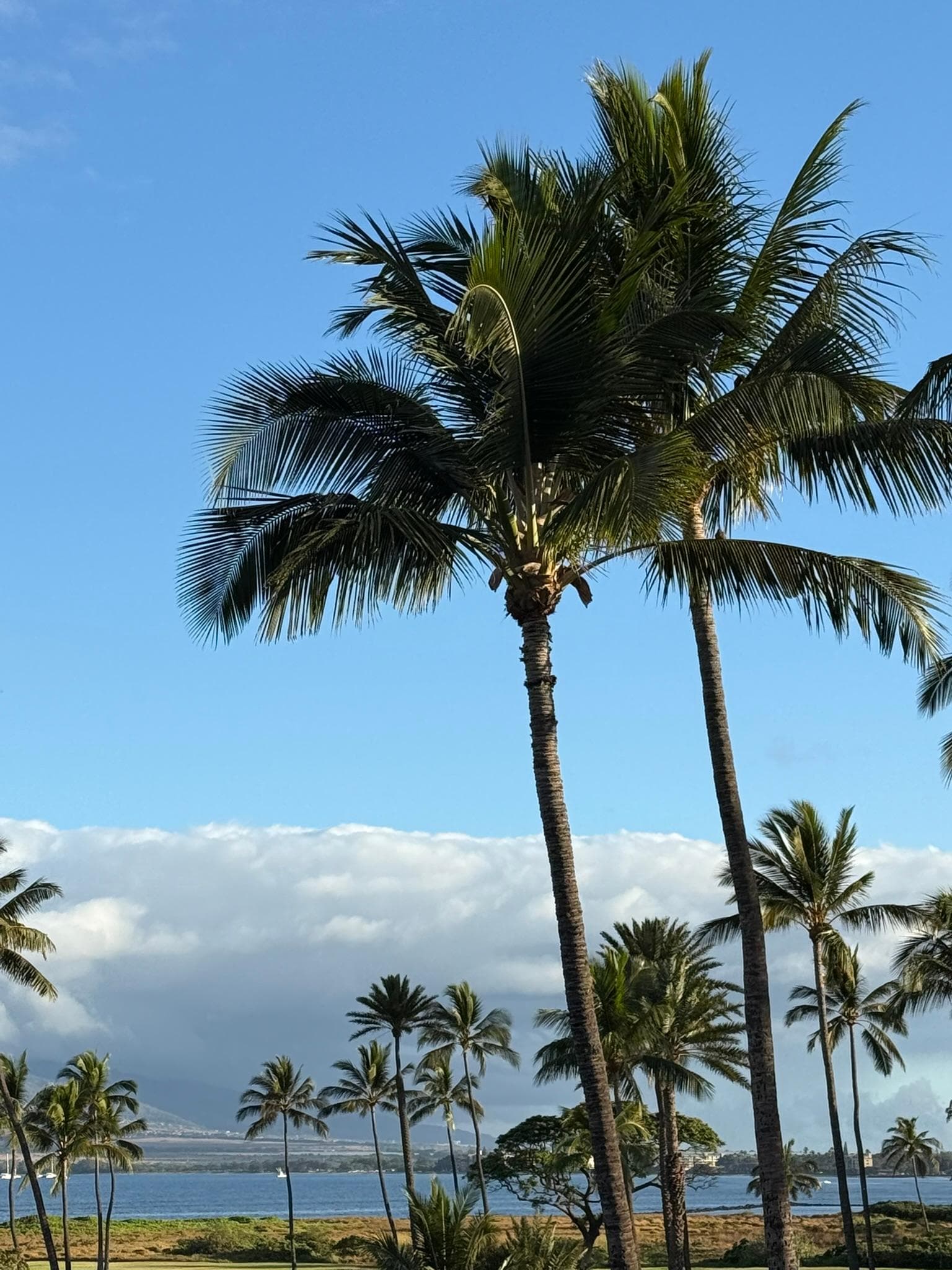 Amazing Oceanside view!