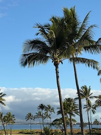 Amazing Oceanside view!