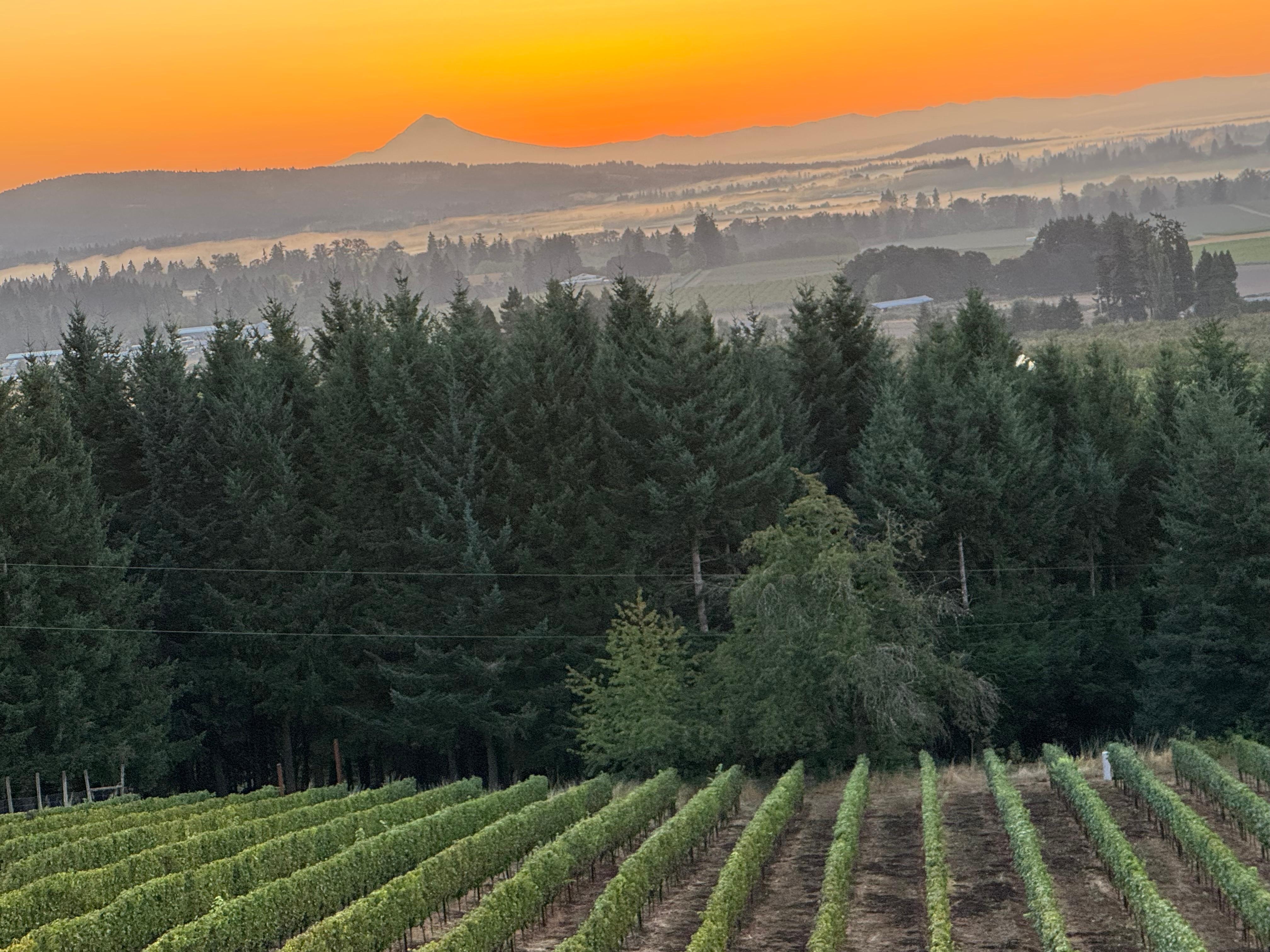 Sunrise from the deck. 