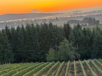 Sunrise from the deck.