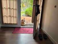 Kizzy watching over us