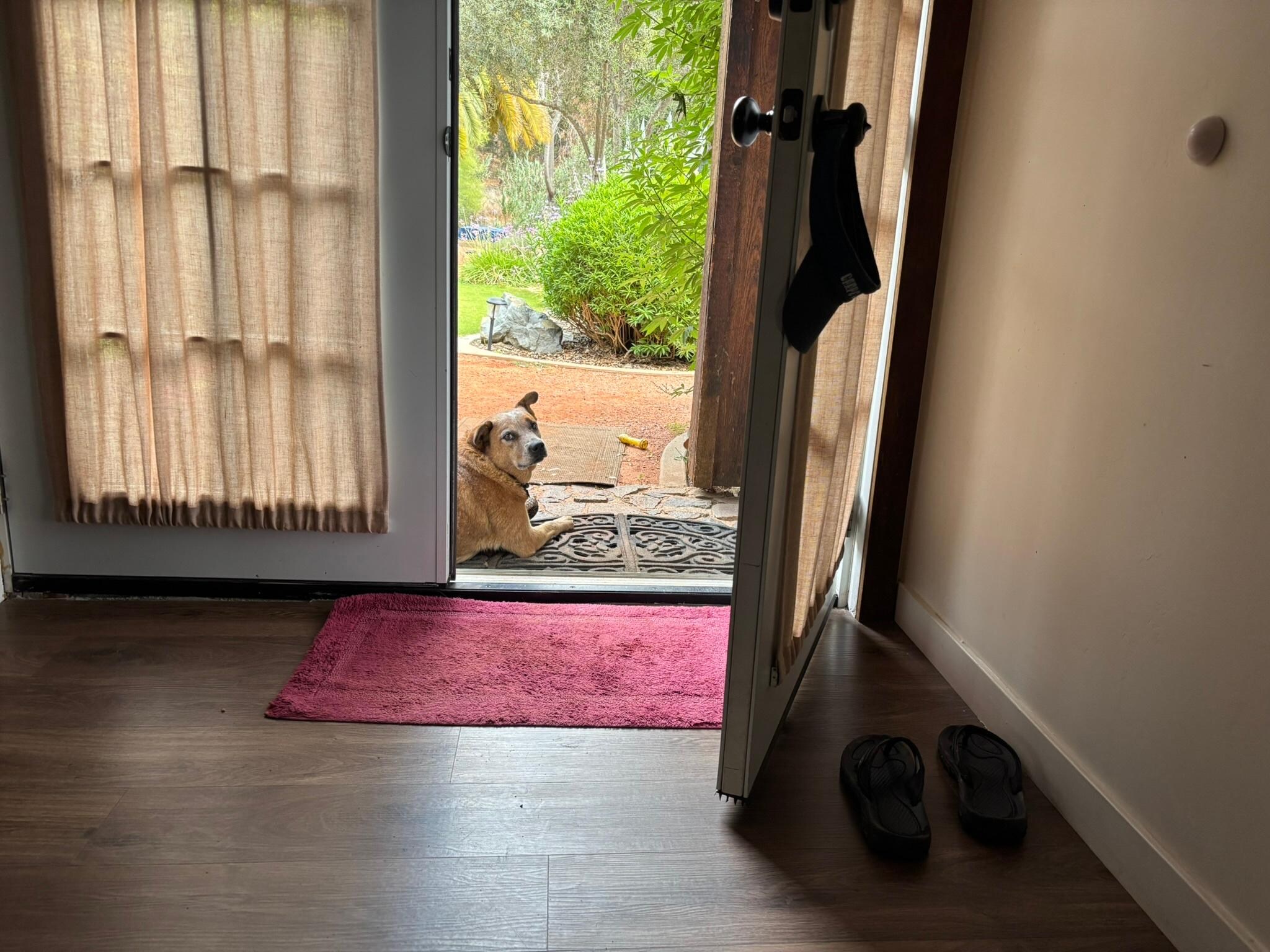 Kizzy watching over us