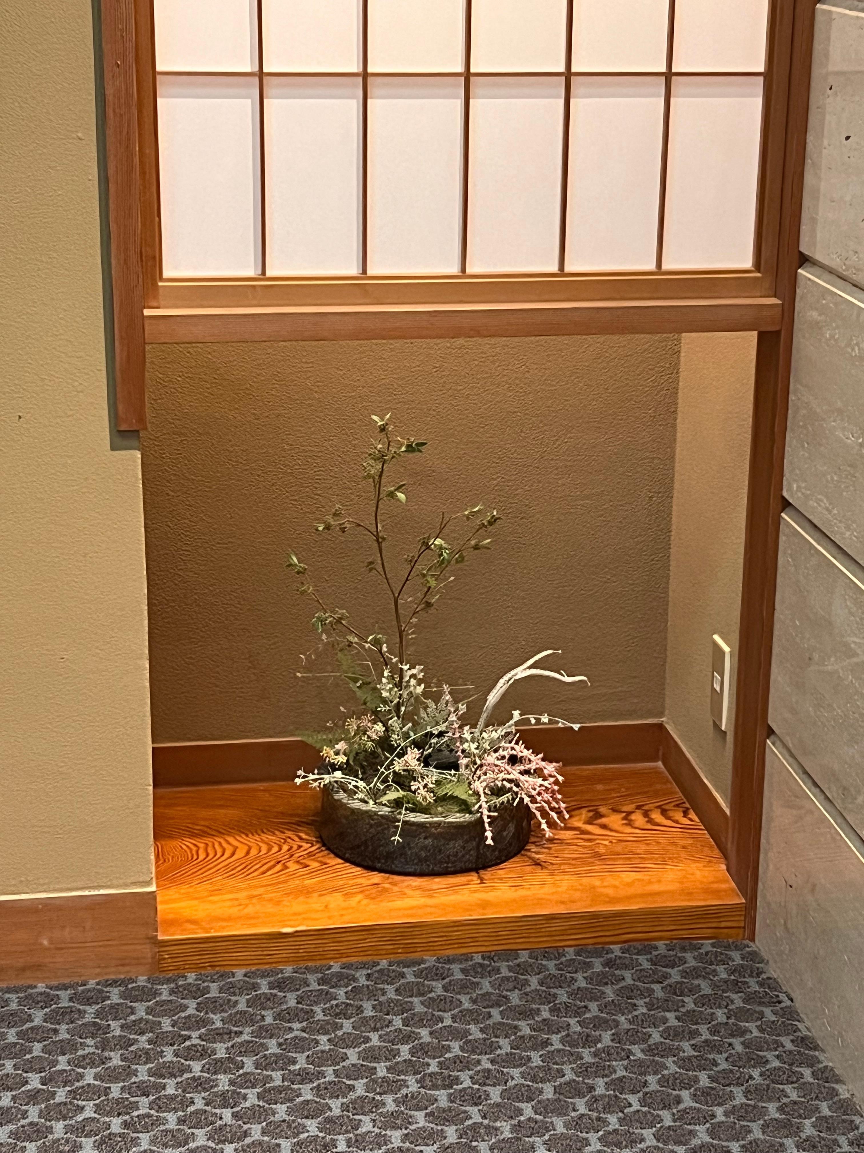 Cute decorative areas