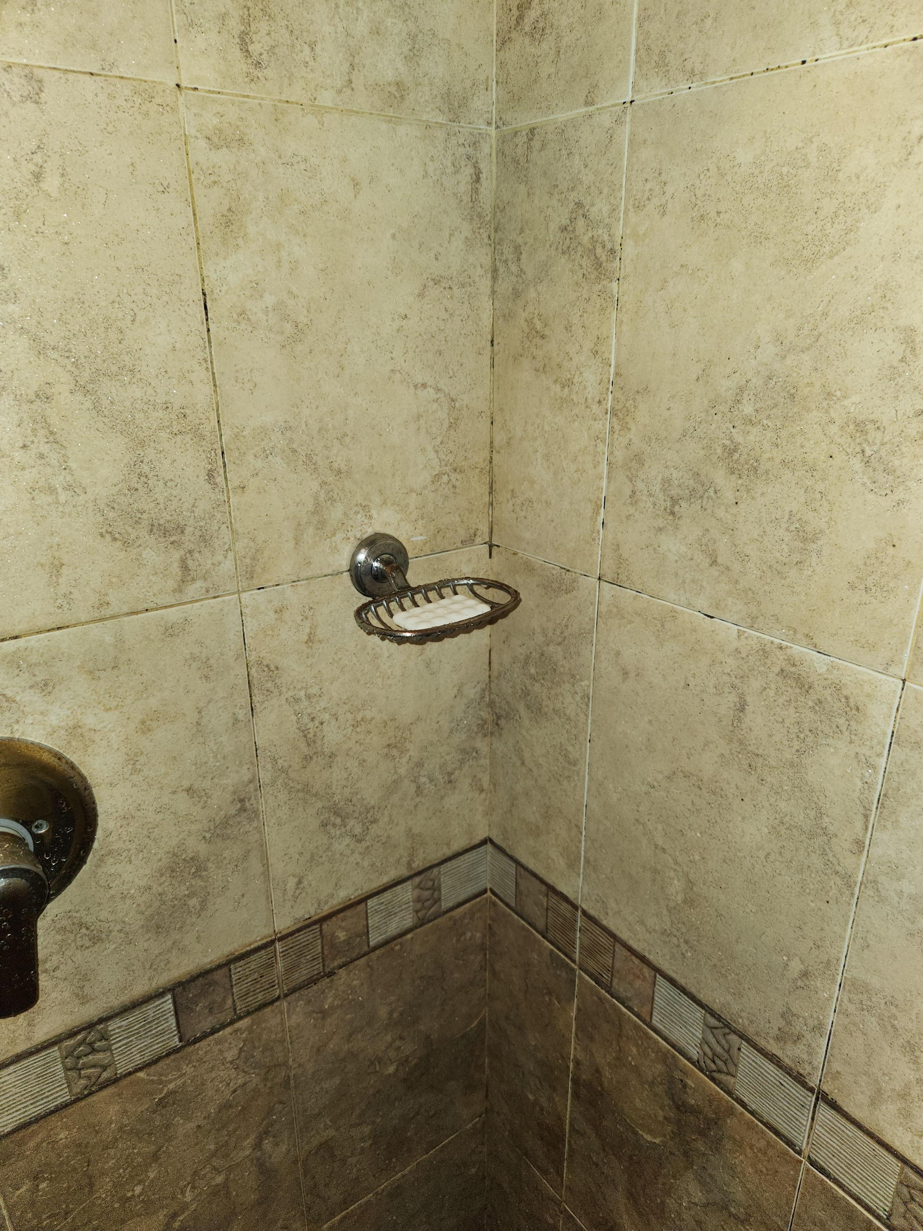 Room was mostly great. Mold in shower.