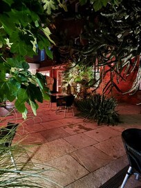 Palmengarten am Abend