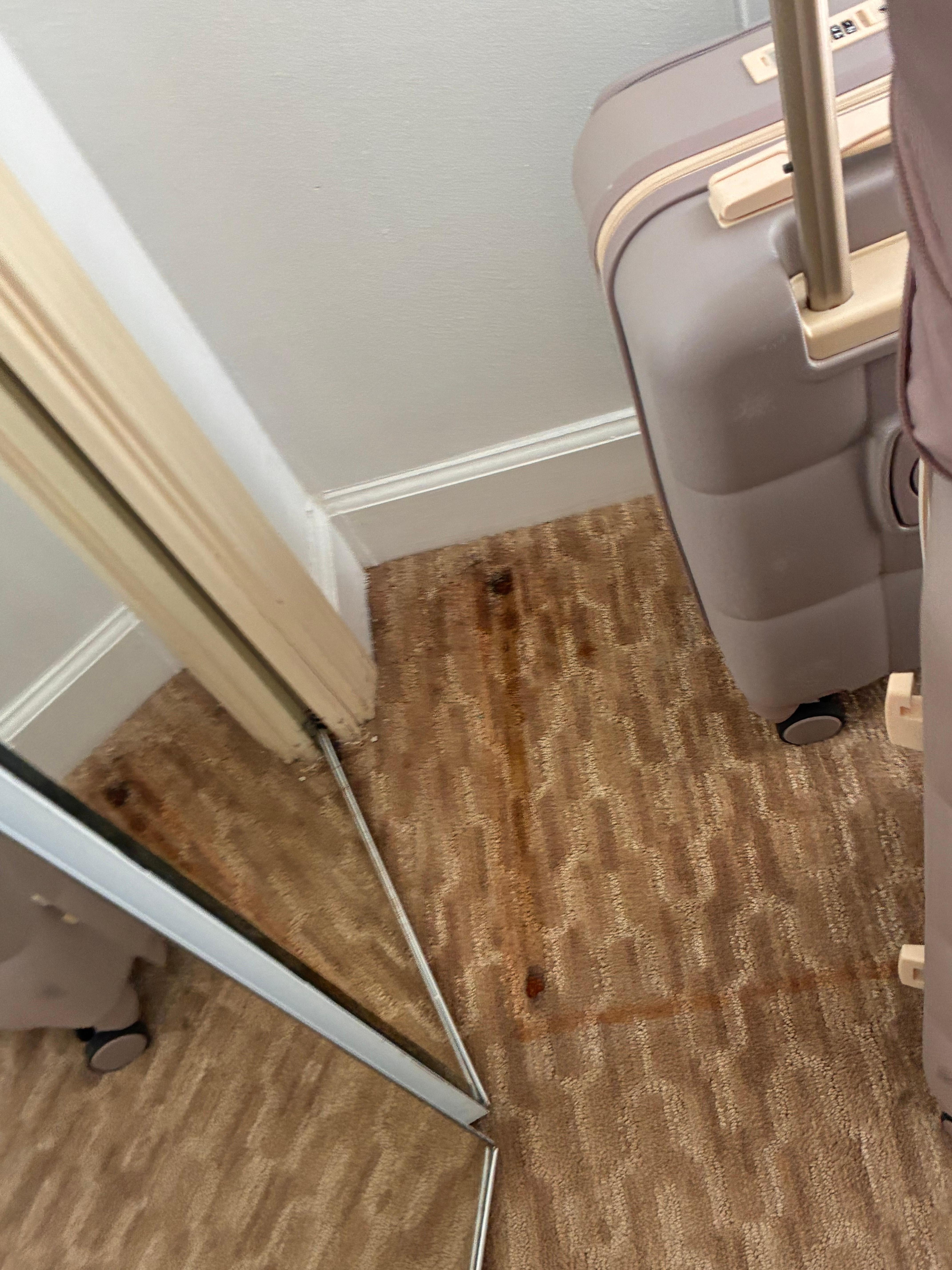 Stain in back bedroom 