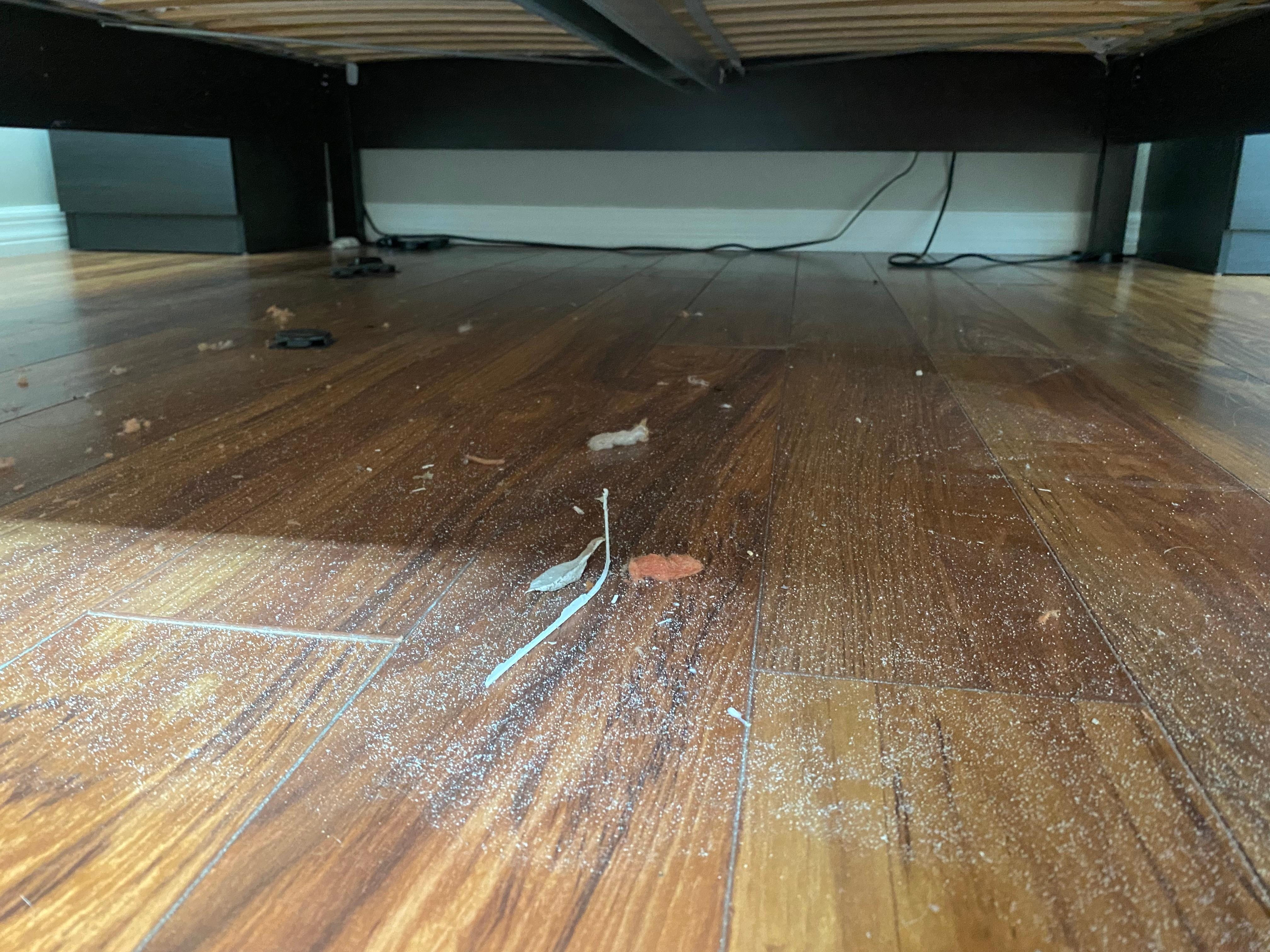Lots of dirt and dust under bed 