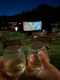 Movie night on the lawn