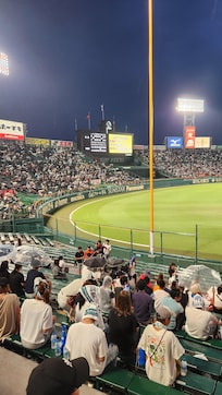 今回は、甲子園に、行ってきました。高校野球の第四試合で終了が遅くて、夜10時を過ぎていました。