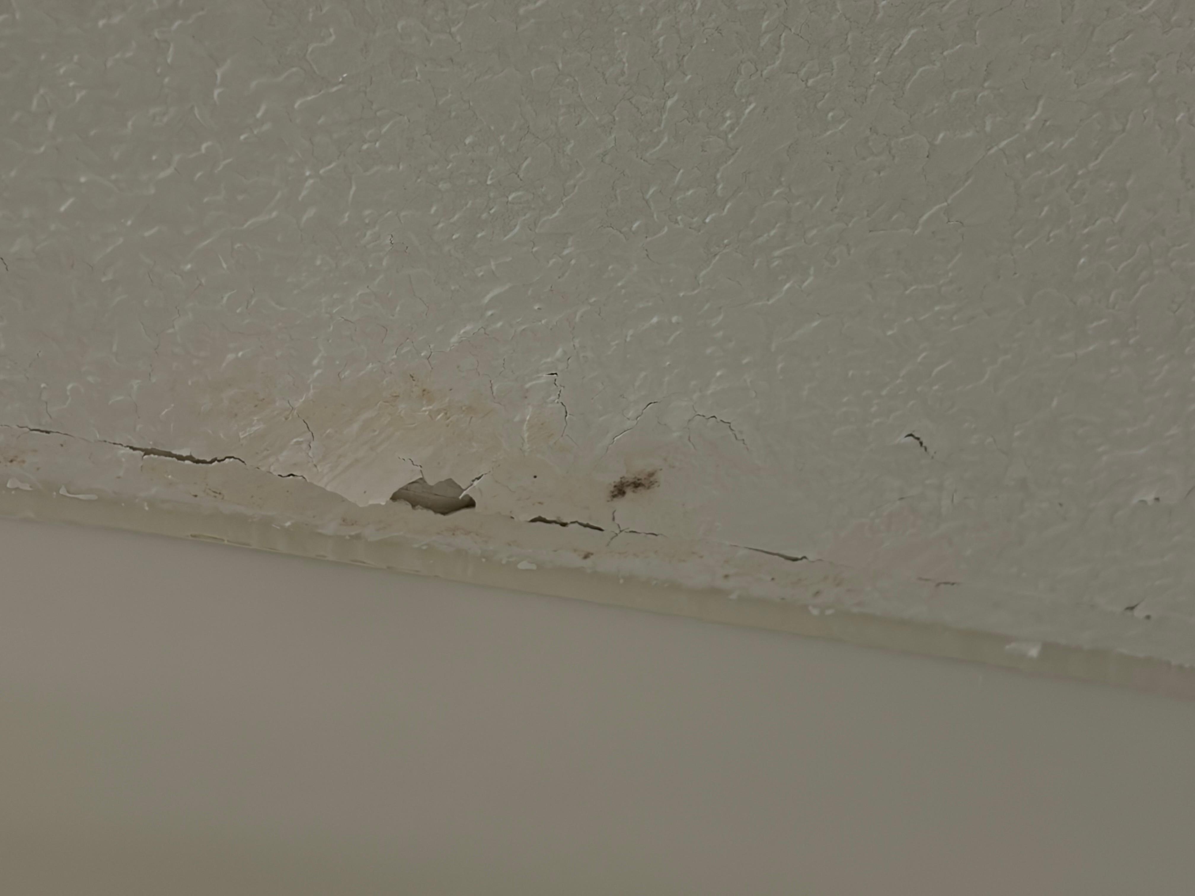 Paint peeling above the bathroom shower