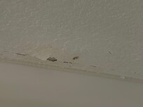 Paint peeling above the bathroom shower