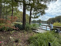 Photo of boardwalk at the lake—a short walk out the back gate.