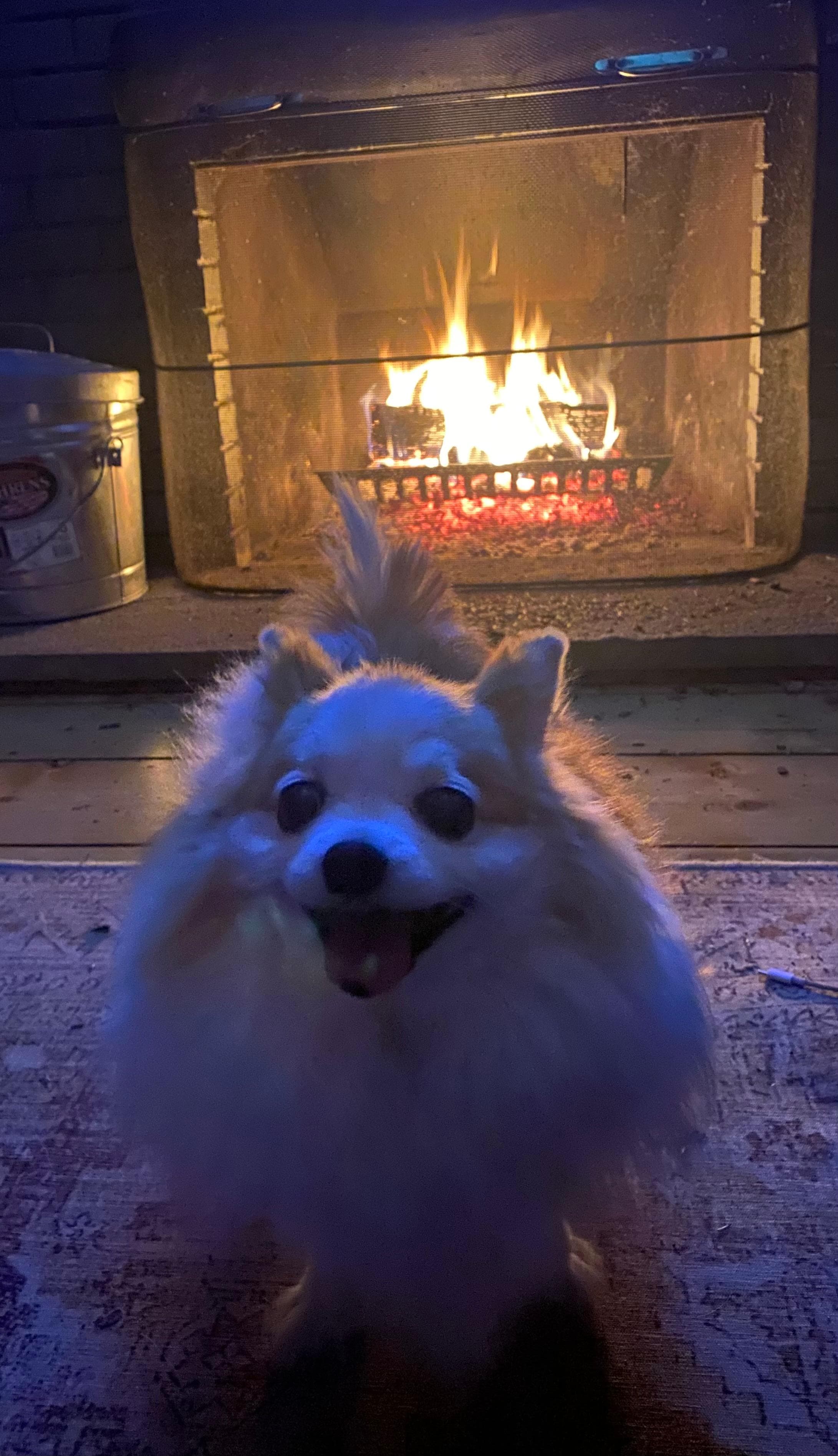 Everyone in the family loved the accomodations