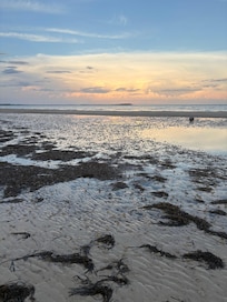 The tide changes throughout the day, making for very cool findings in tide pools and along the beach!