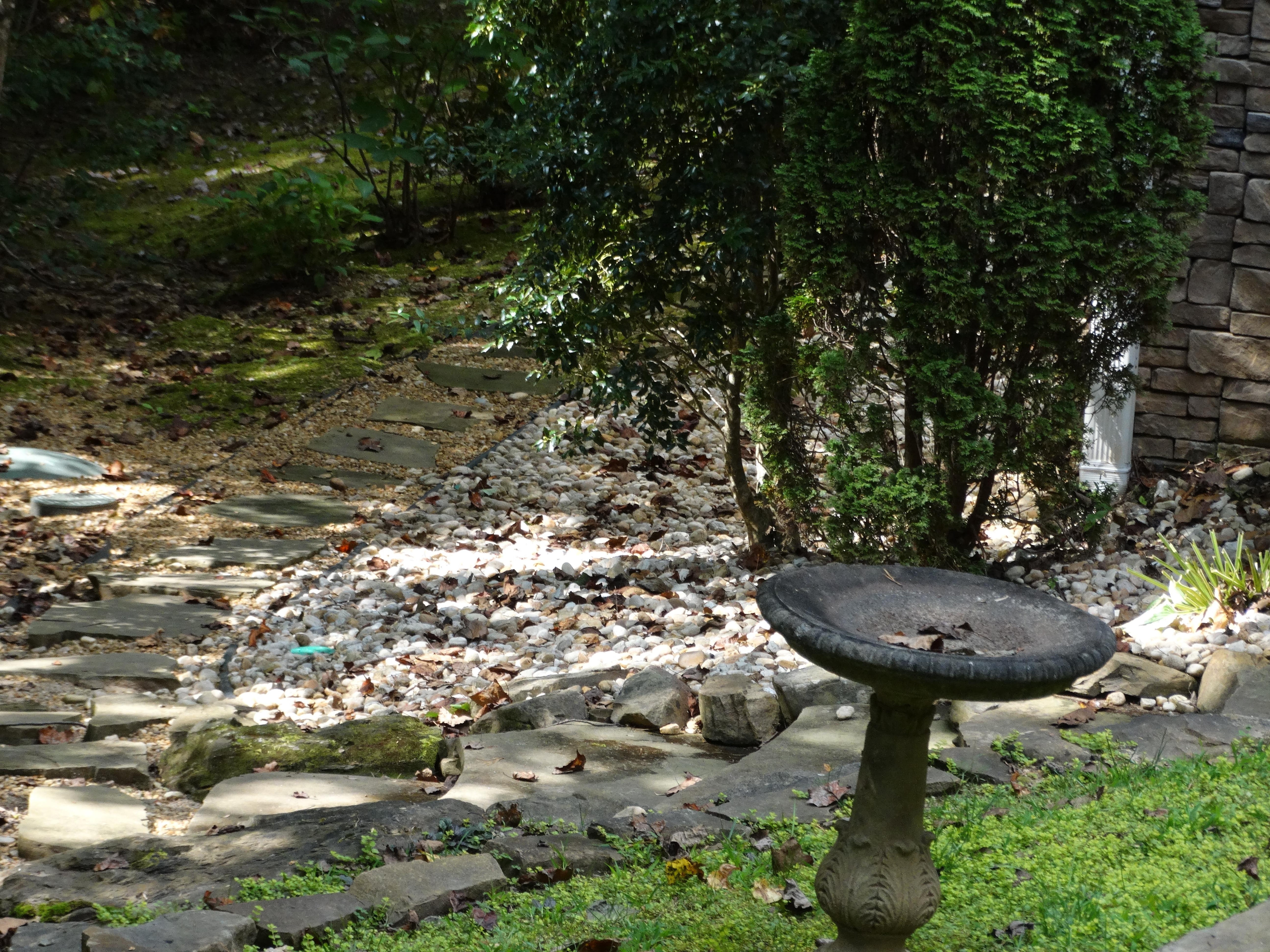 Side walkway of the house.