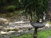 Side walkway of the house.