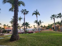 View from patio