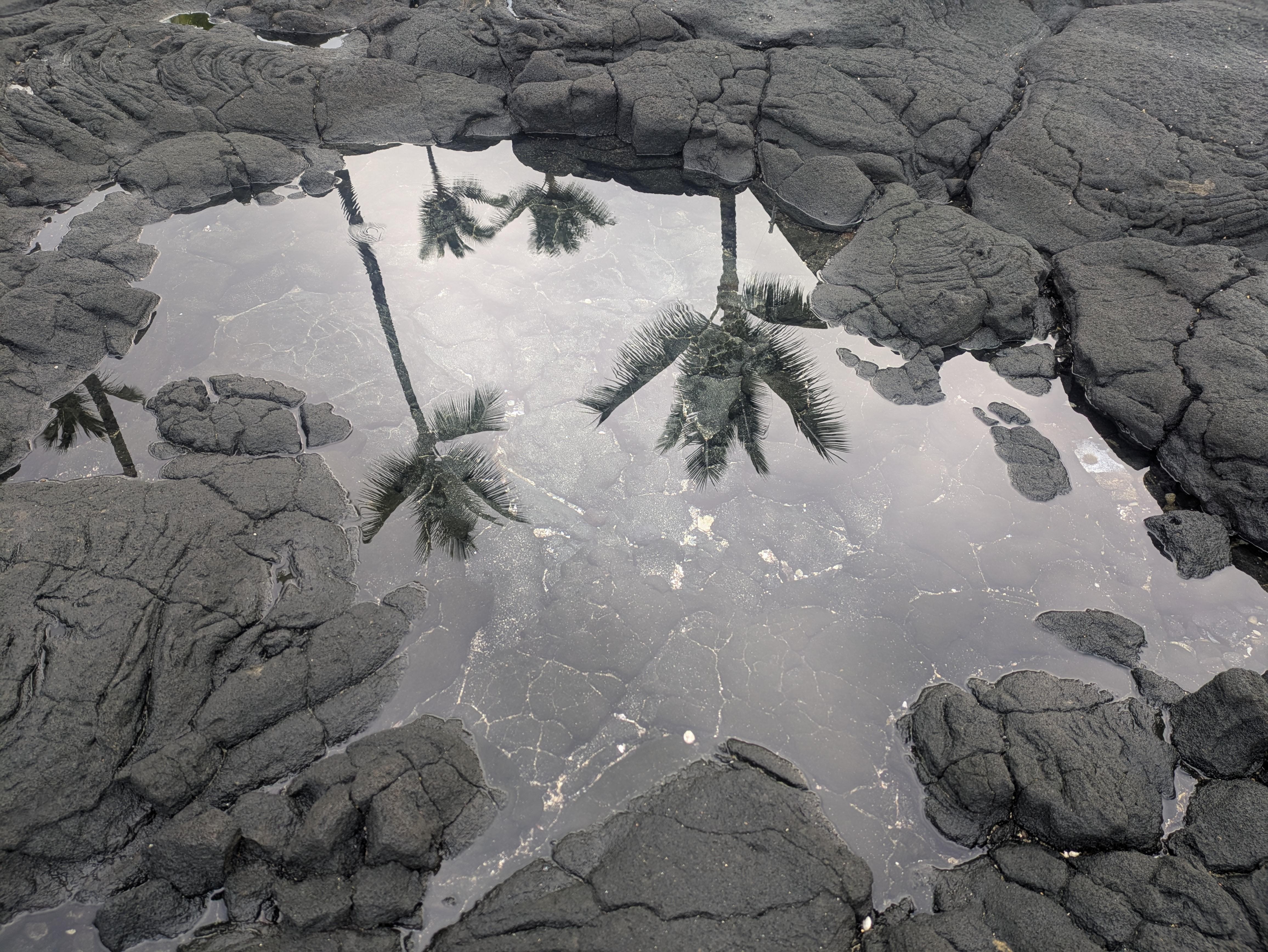 Reflections in tidal pool on the lava rock