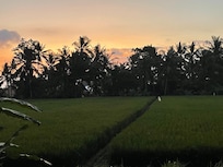 Room overlooking rice fields