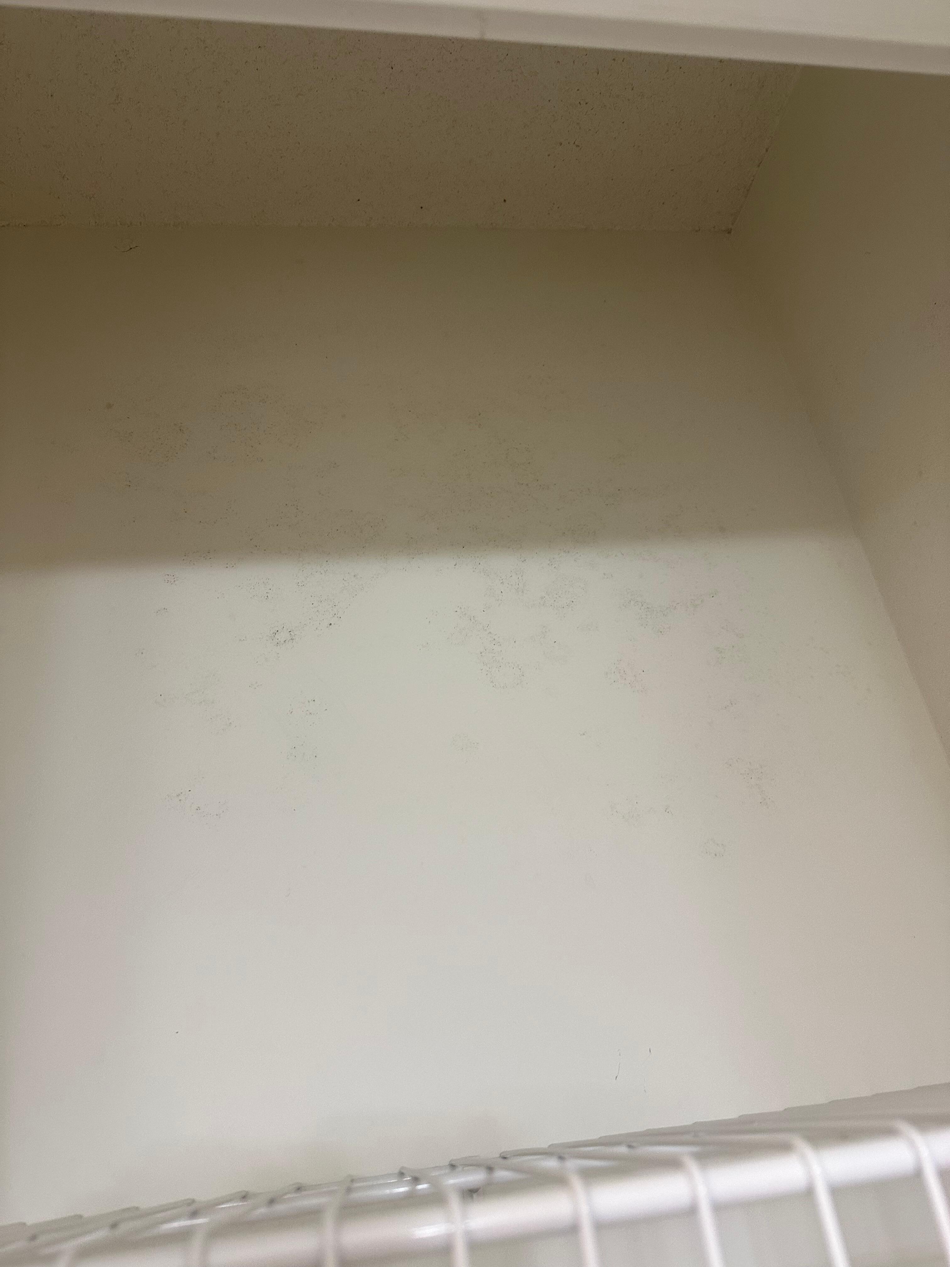 Mold in bathroom closet caused an allergy flare up. Maintenance man brought a vinegar solution as if it were my job to clean it 