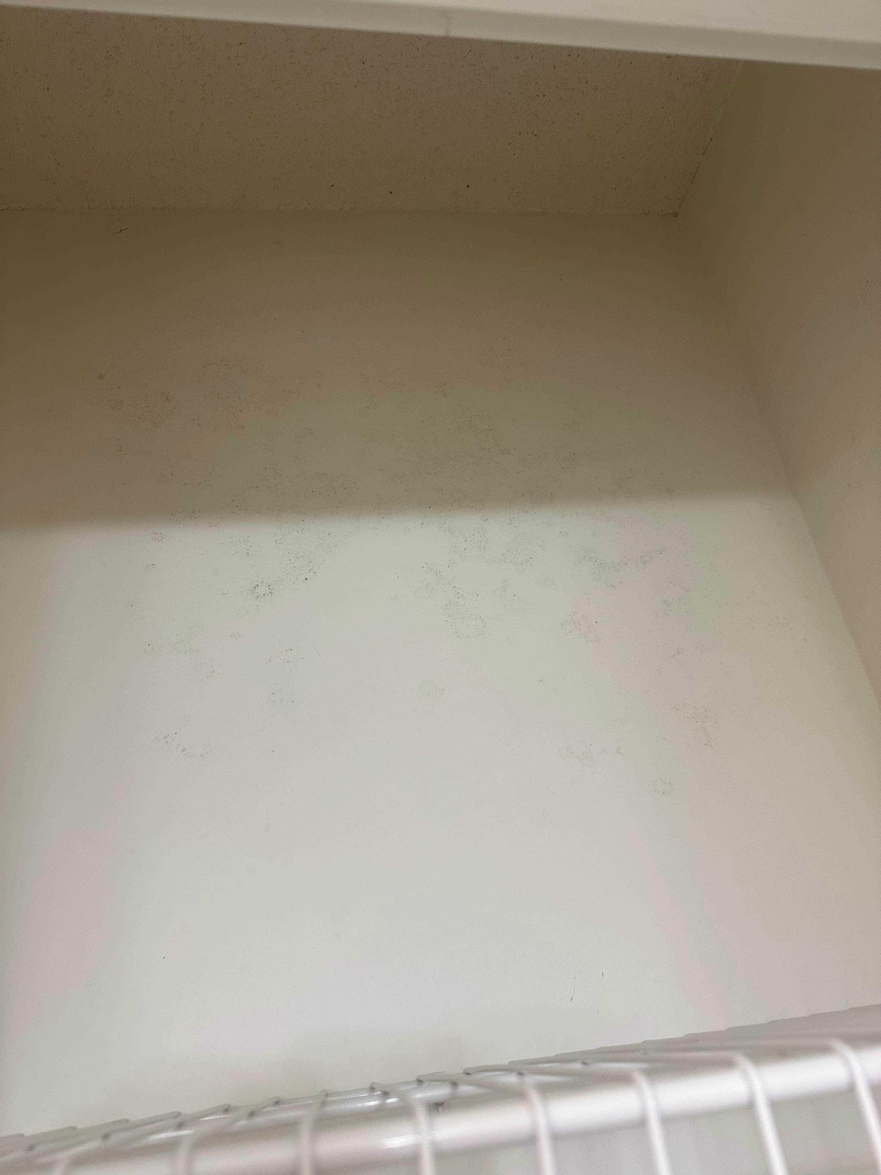 Mold in bathroom closet caused an allergy flare up. Maintenance man brought a vinegar solution as if it were my job to clean it