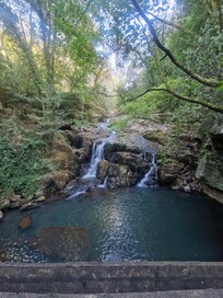 Part of woodland and river walk