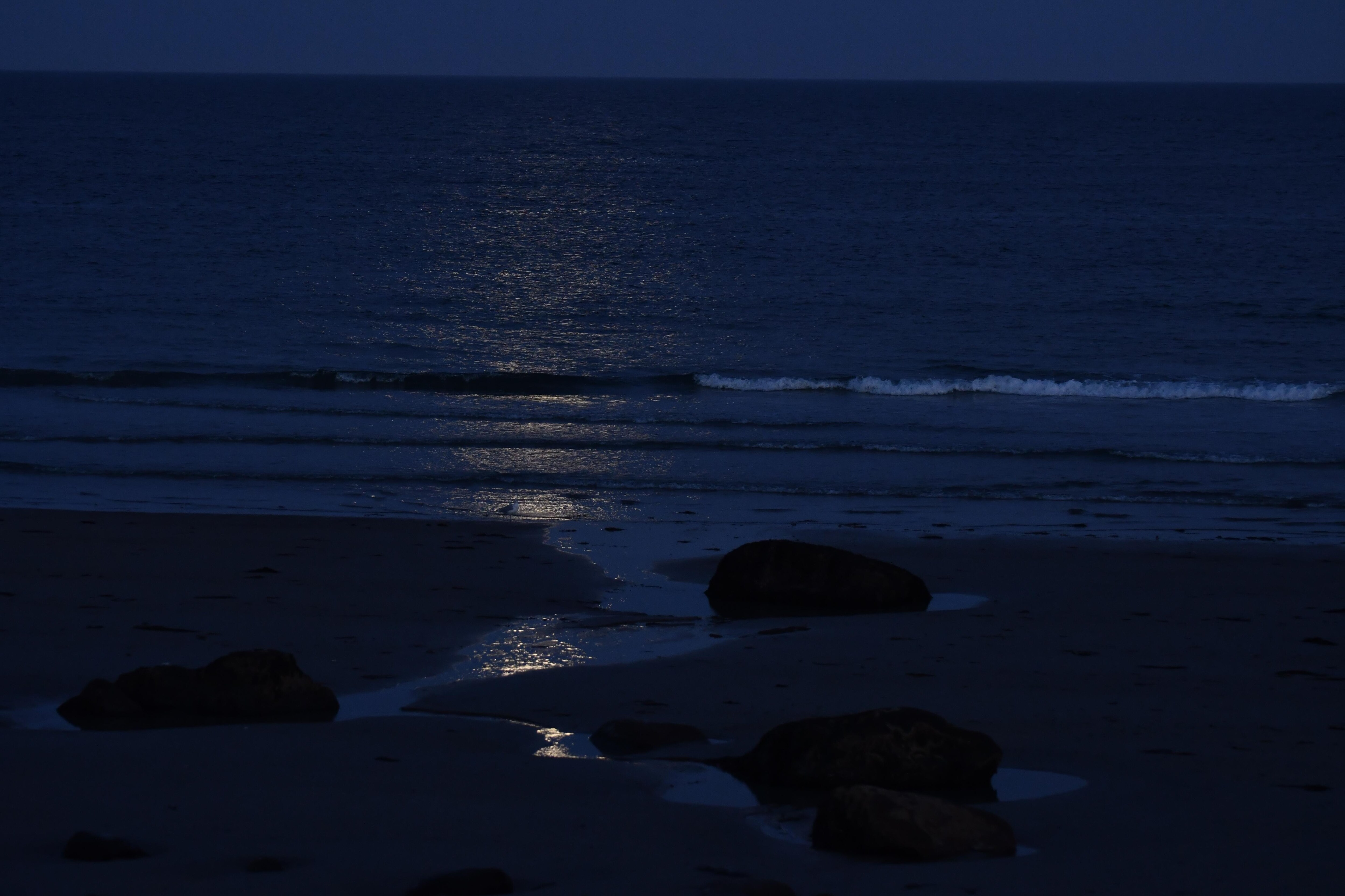 Full moon light on Wells Beach
