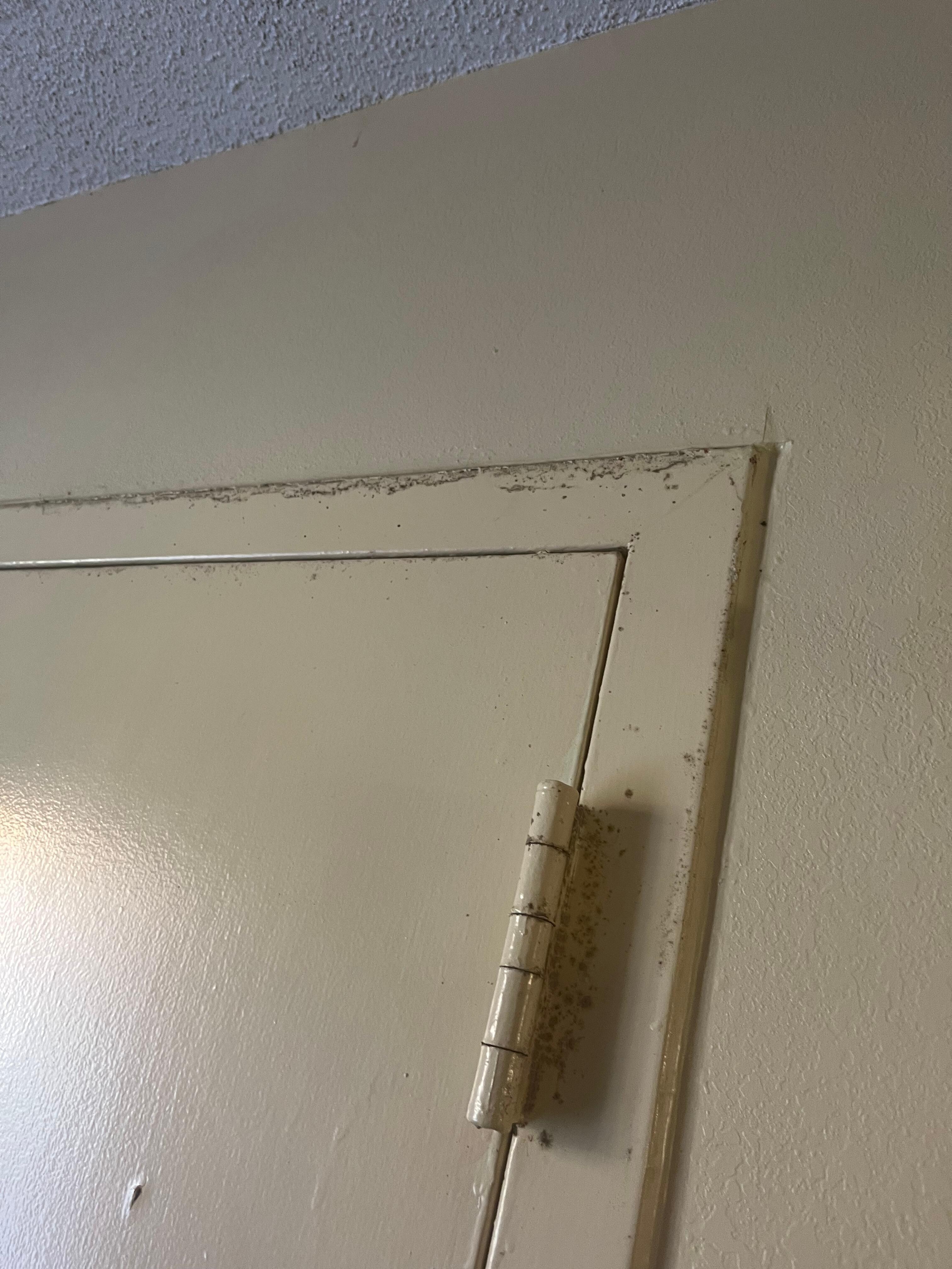 Mold and dirt on the front door 