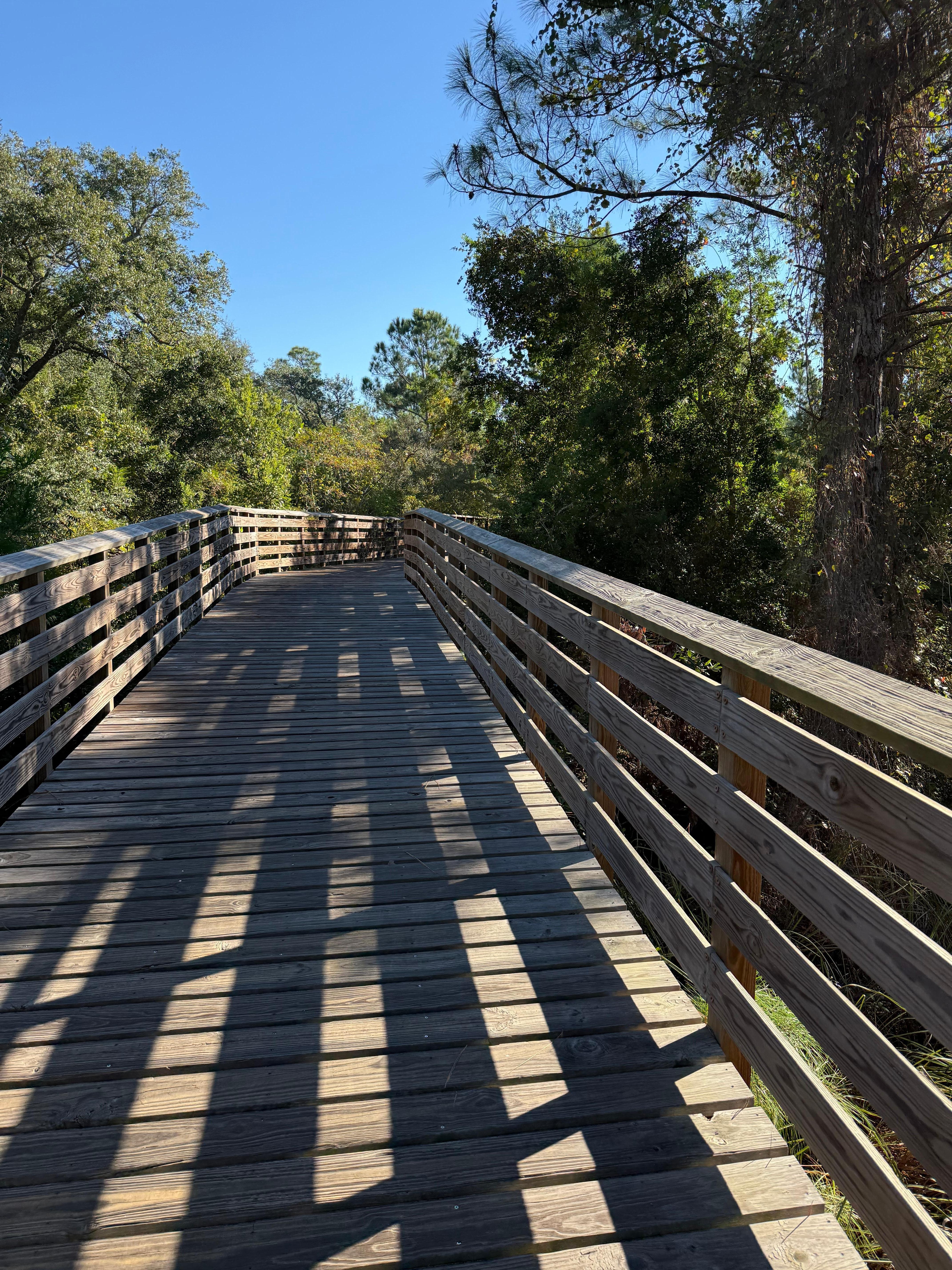 Walking path across the road