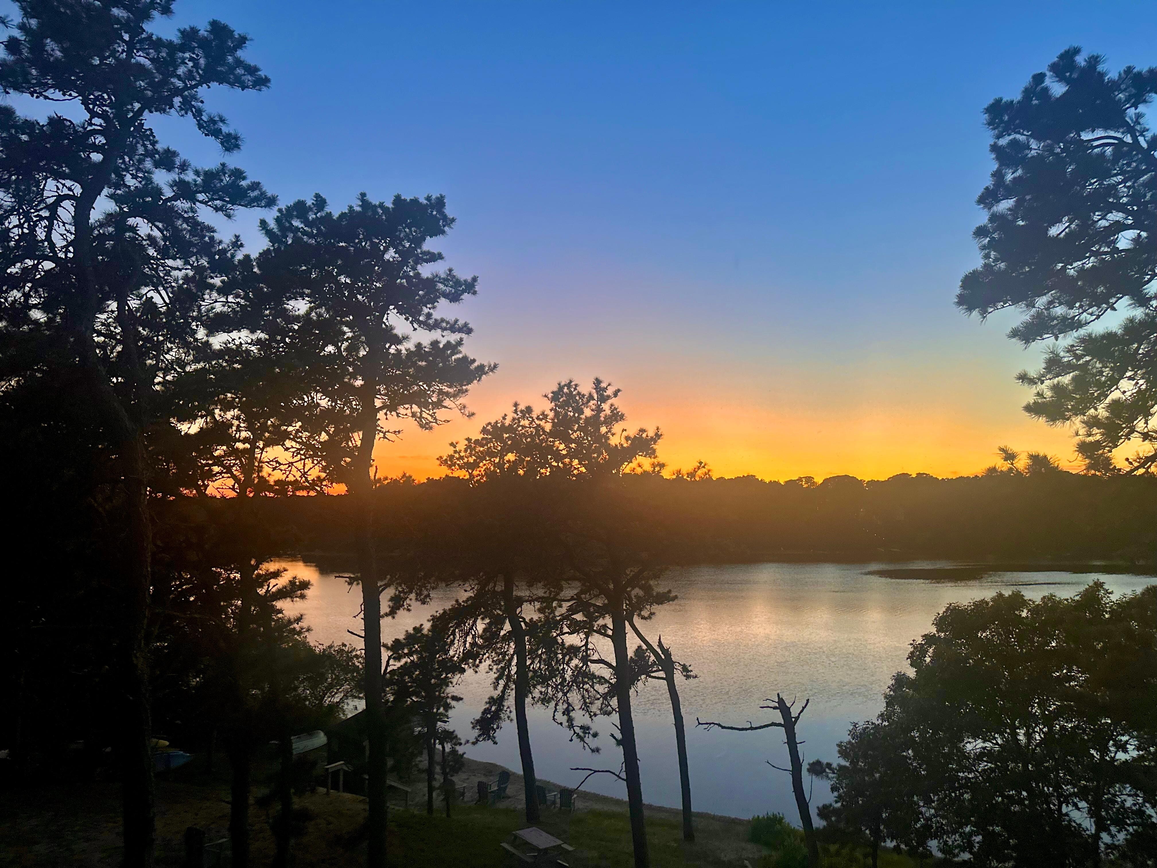 The View from the porch. 