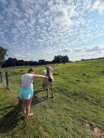 Meeting a new friend
