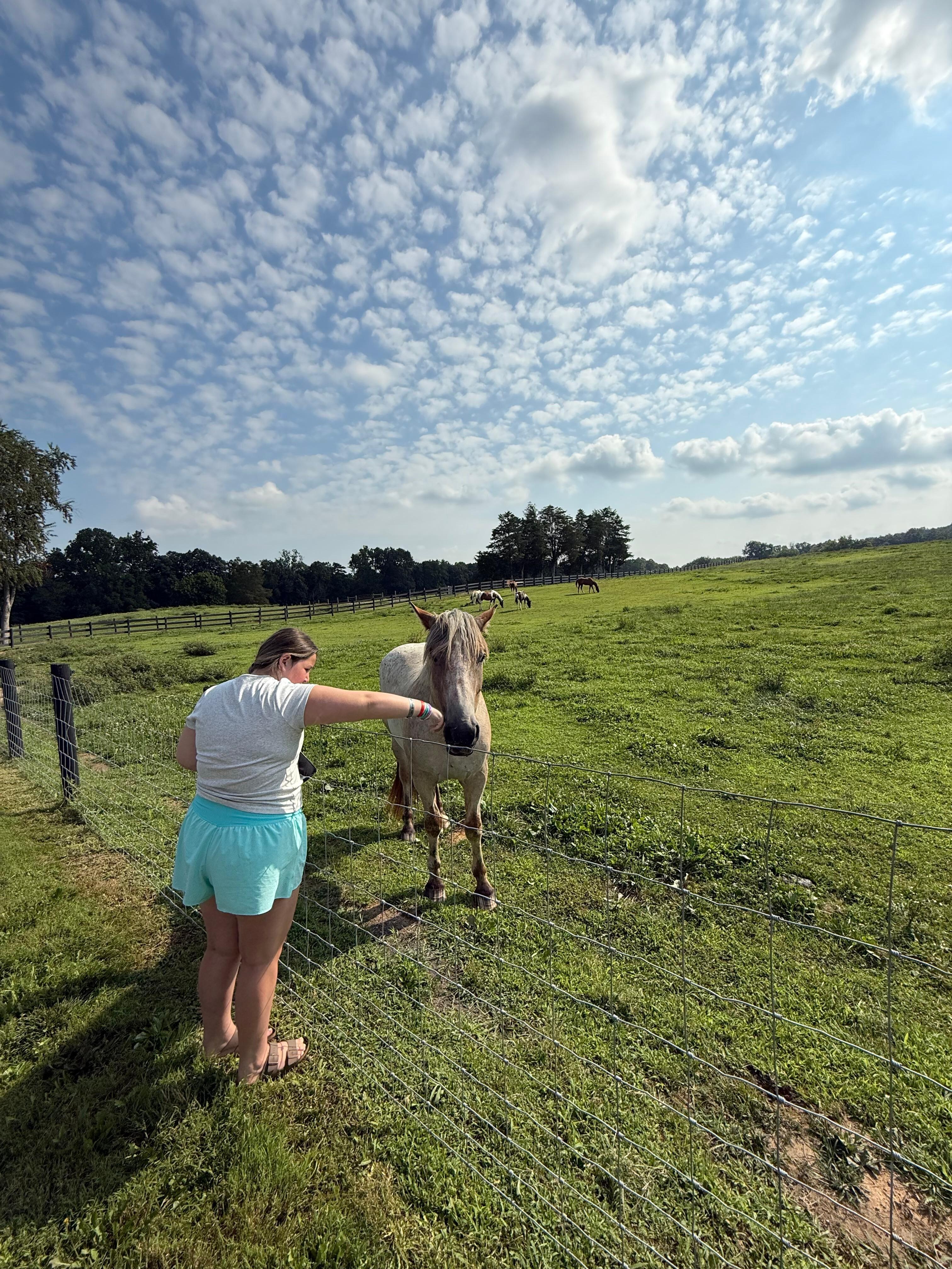 Meeting a new friend 