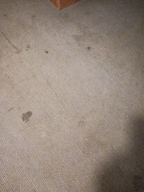 Carpet