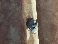 Burn marks on curtains