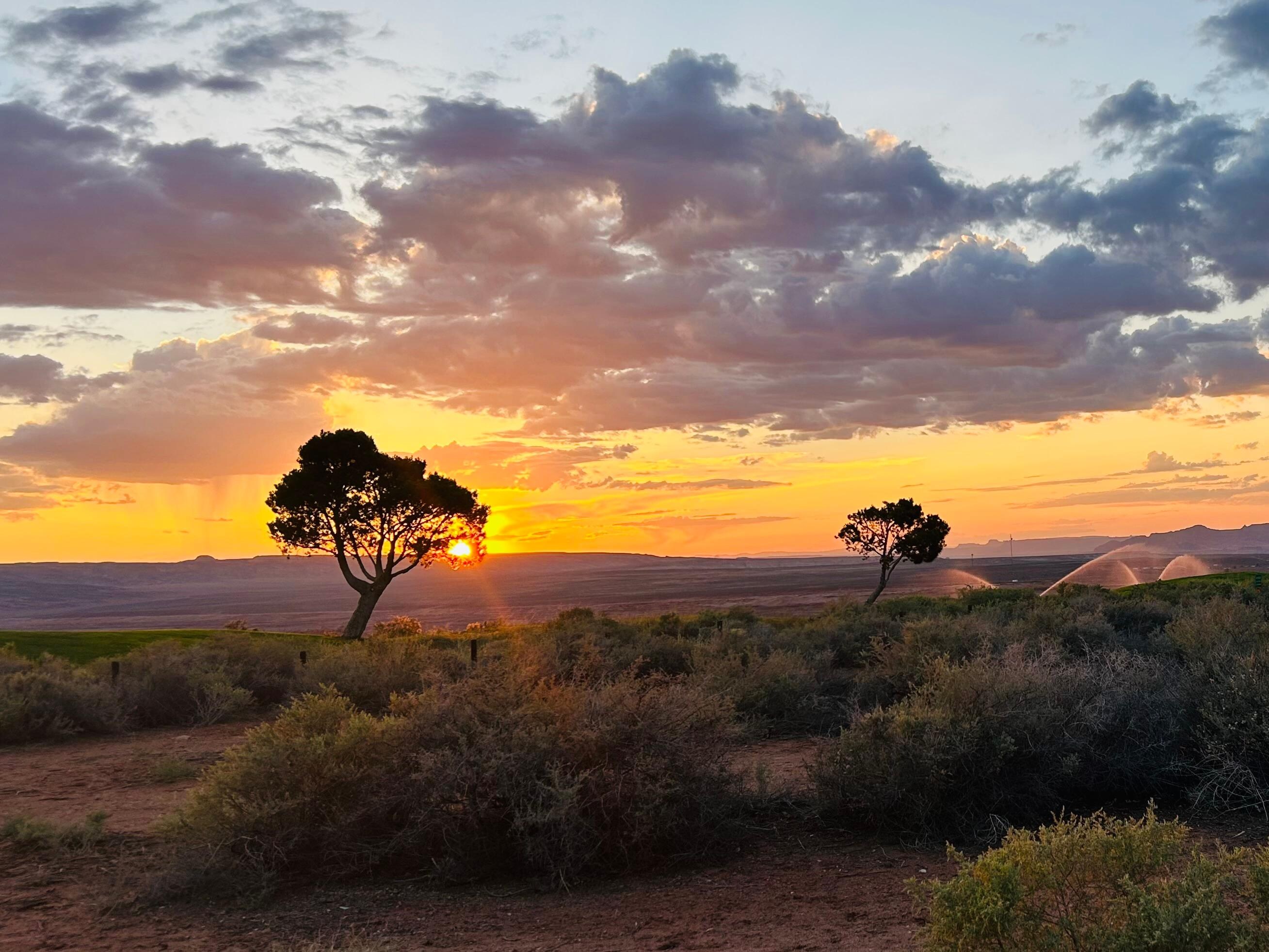 View from back patio at sunset 