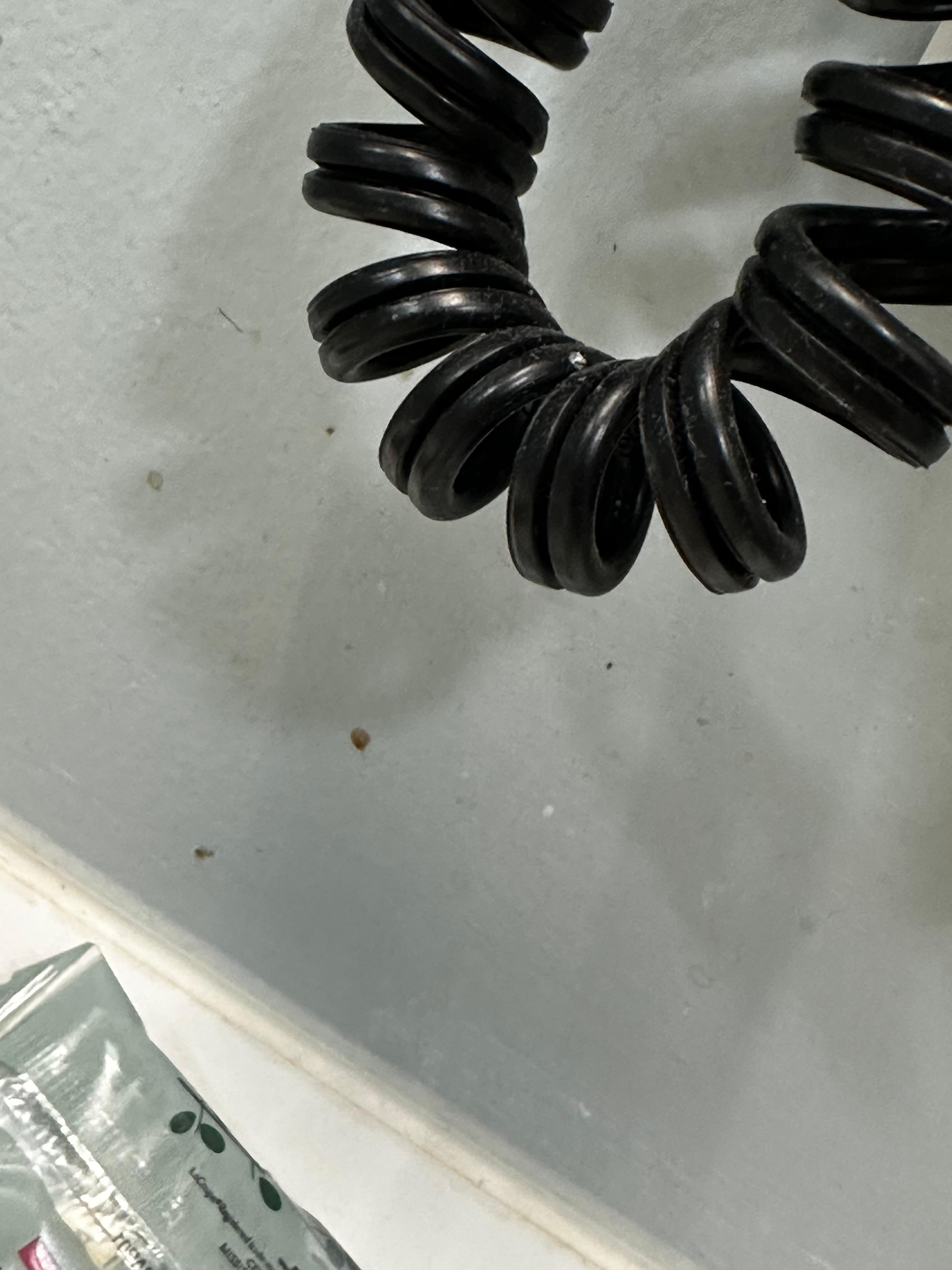 What is that on the wall?!