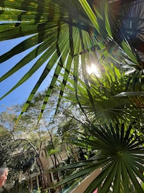 Serene gardens