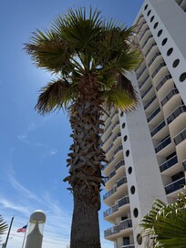 Sun shining over Surfside Resort.