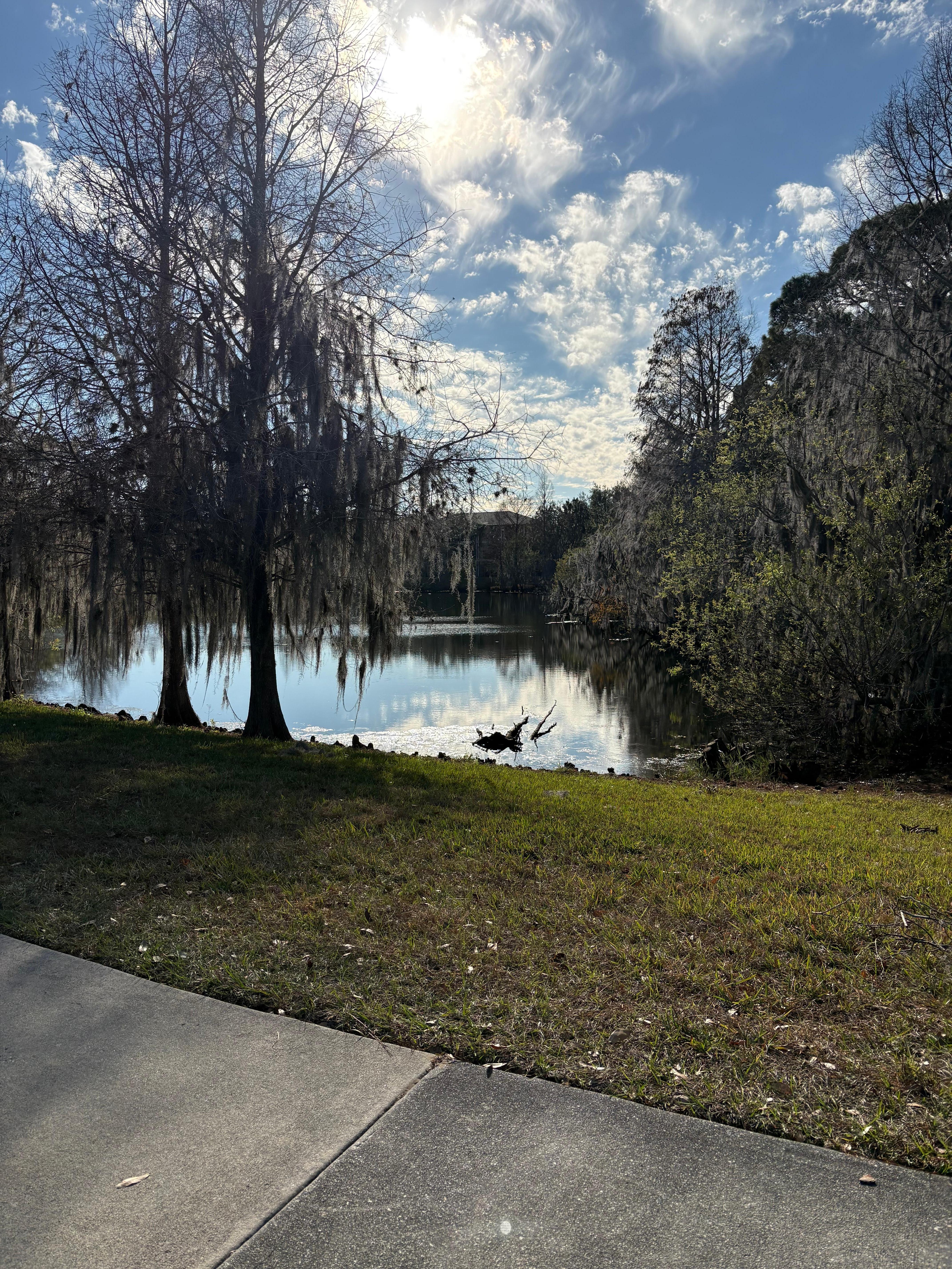 Such a nice day walking around 