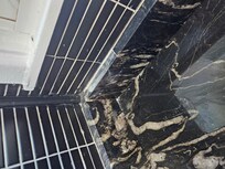 Debris on kitchen counter and dead insect in window