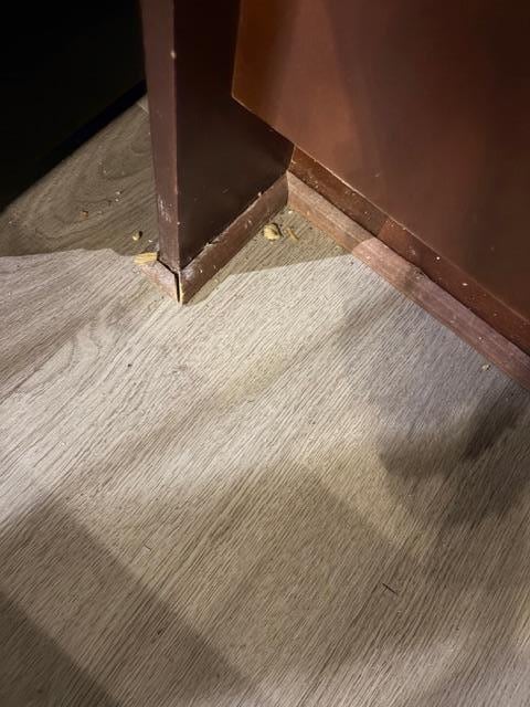 Food crumbs on the floor