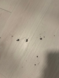 This stuff kept spewing out all week. Got tired of sweeping it out the front door (no dustpan)